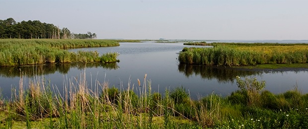 Chesapeake Bay